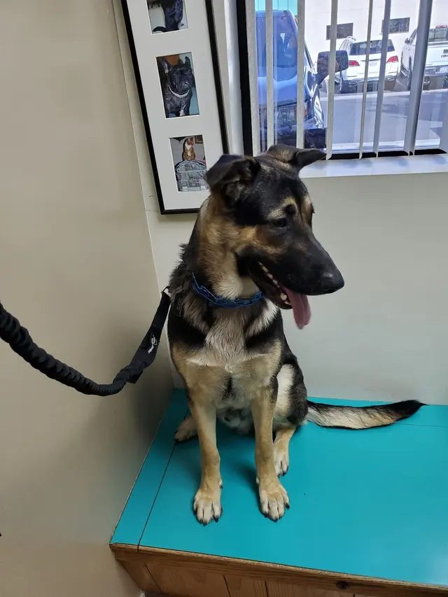 Coffee Road Animal Hospital & Pet Resort — customer photo 2