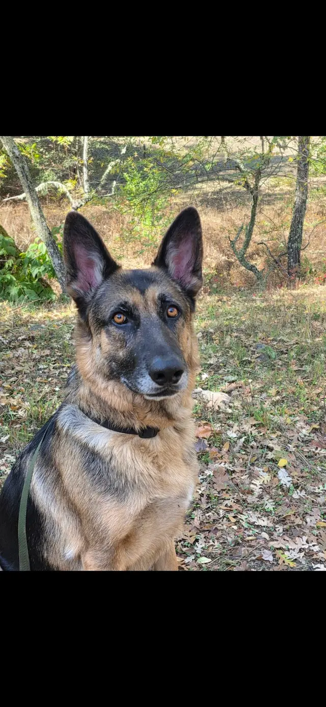 Coffee Road Animal Hospital & Pet Resort — customer photo 7