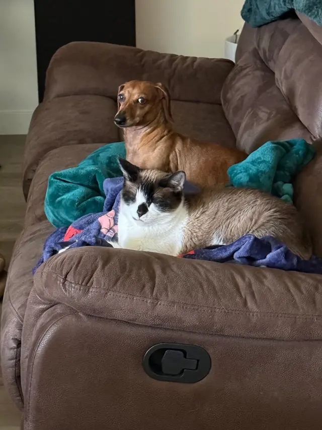 Coffee Road Animal Hospital & Pet Resort — customer photo 5