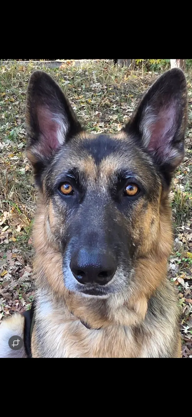 Coffee Road Animal Hospital & Pet Resort — customer photo 8