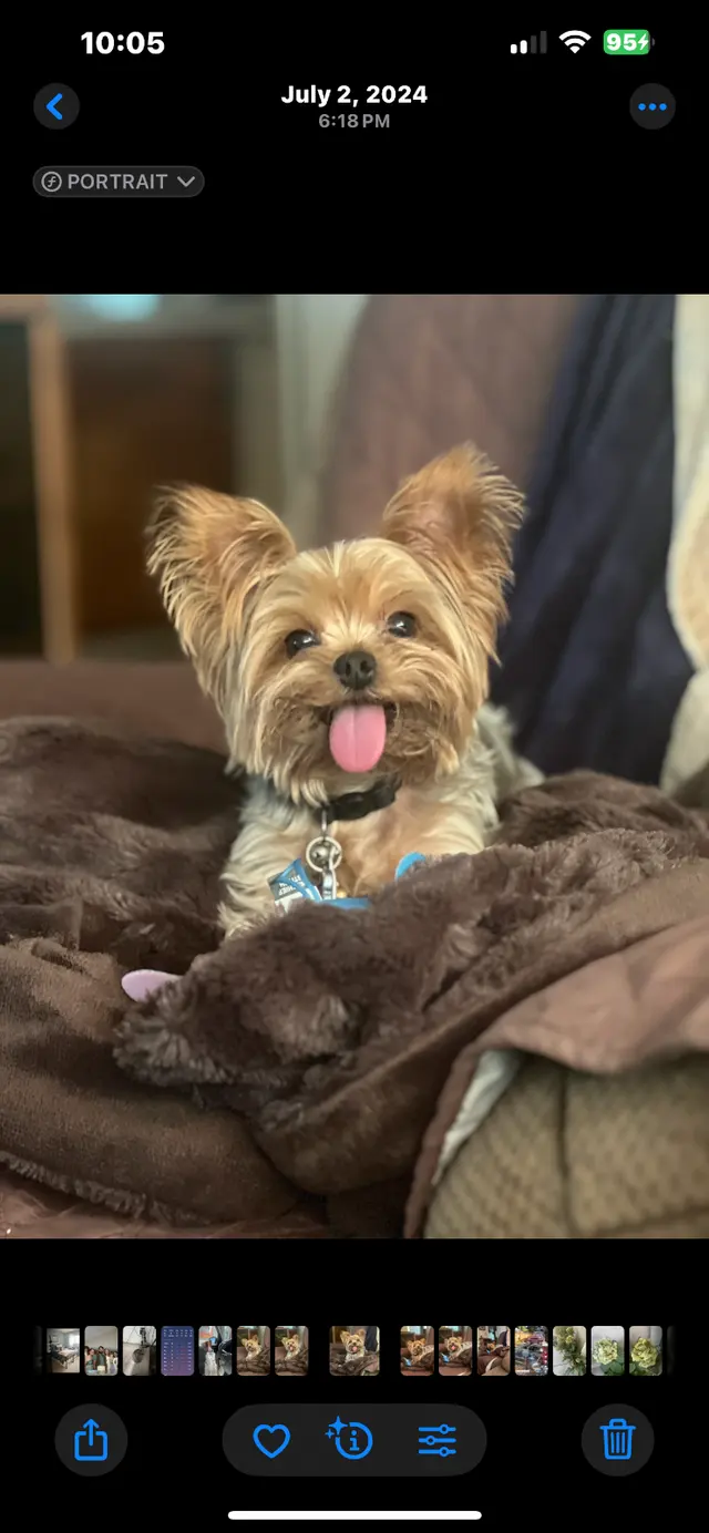 Coffee Road Animal Hospital & Pet Resort — customer photo 6