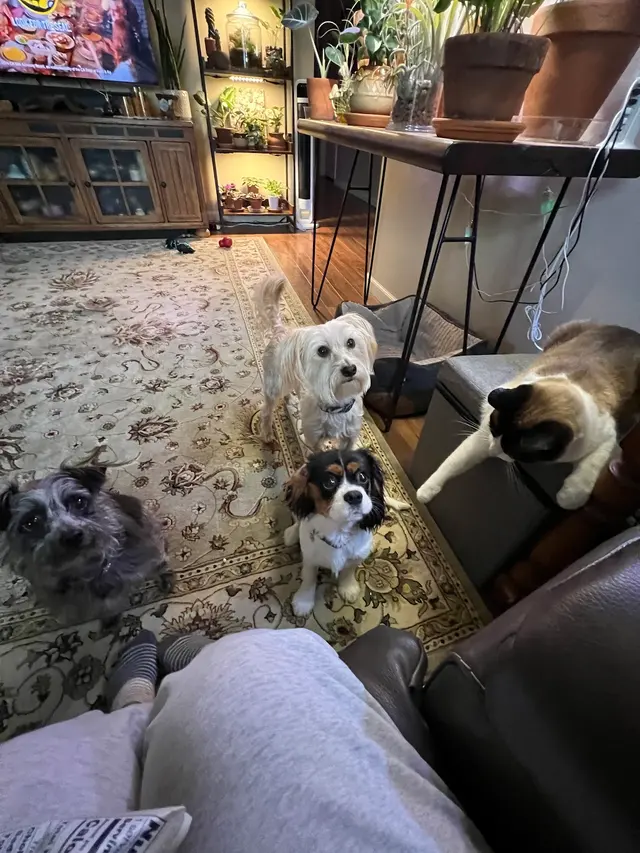 Southwest Veterinary Hospital — customer photo 9
