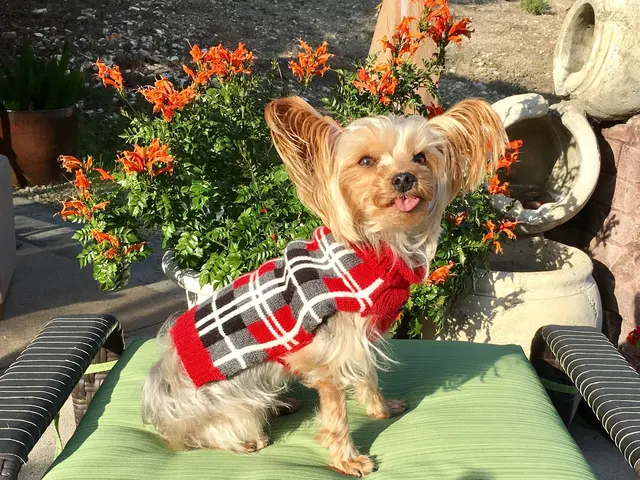 Southwest Veterinary Hospital — customer photo 6