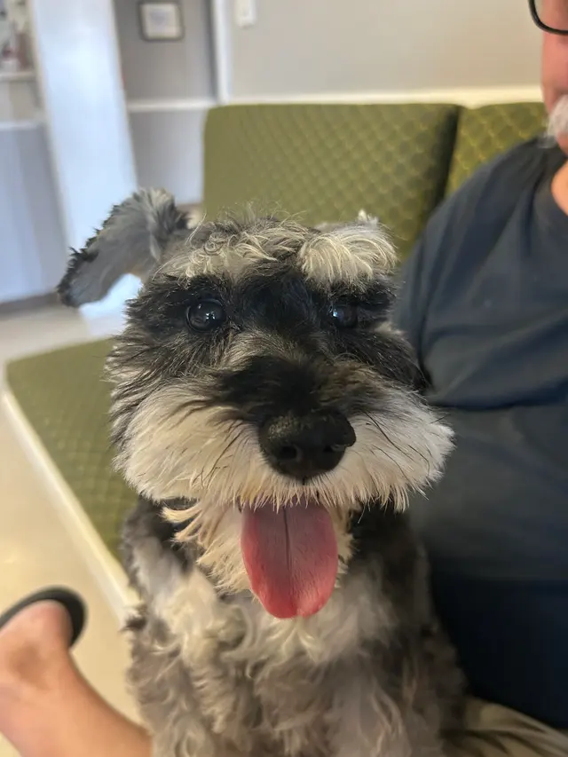 Southwest Veterinary Hospital — customer photo 12