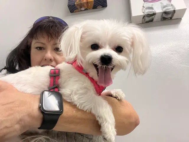 Southwest Veterinary Hospital — customer photo 7