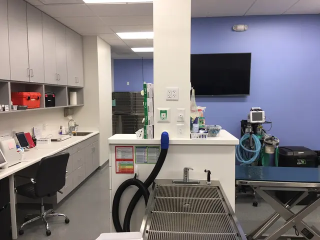 Bakersfield Regional Veterinary Surgical Specialty — photo from the business 3