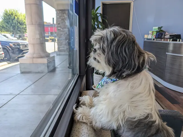 Bakersfield Regional Veterinary Surgical Specialty — customer photo 6