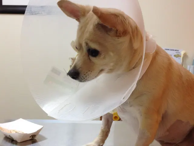 Bakersfield Regional Veterinary Surgical Specialty — customer photo 9