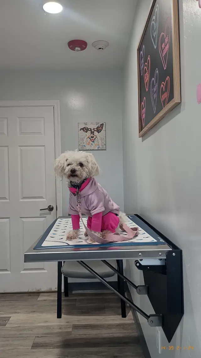 Thurman Veterinary Center — customer photo 12