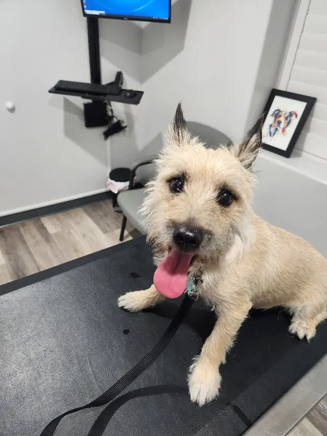 Thurman Veterinary Center — customer photo 3