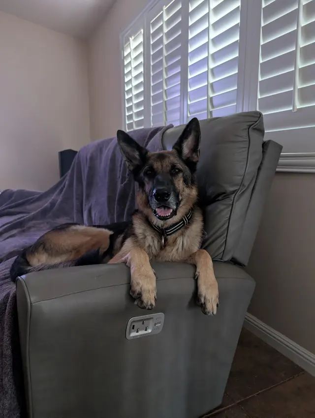 Thurman Veterinary Center — customer photo 9