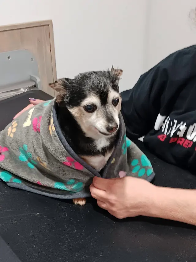Thurman Veterinary Center — customer photo 7
