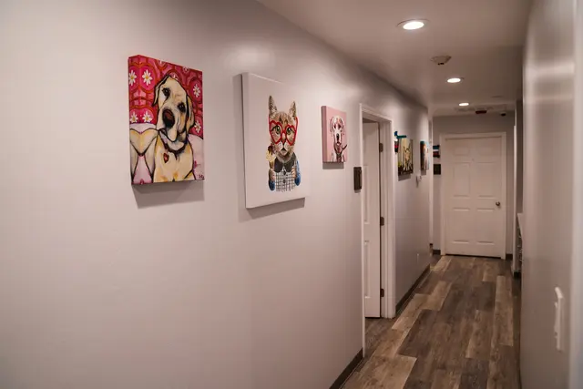 Thurman Veterinary Center — photo from the business 5