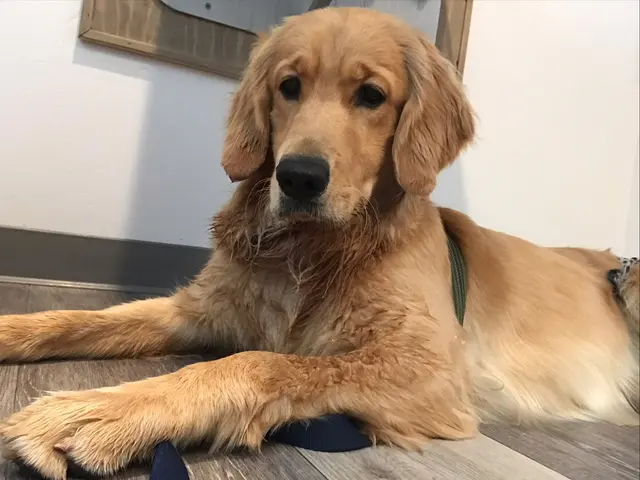 Thurman Veterinary Center — customer photo 4