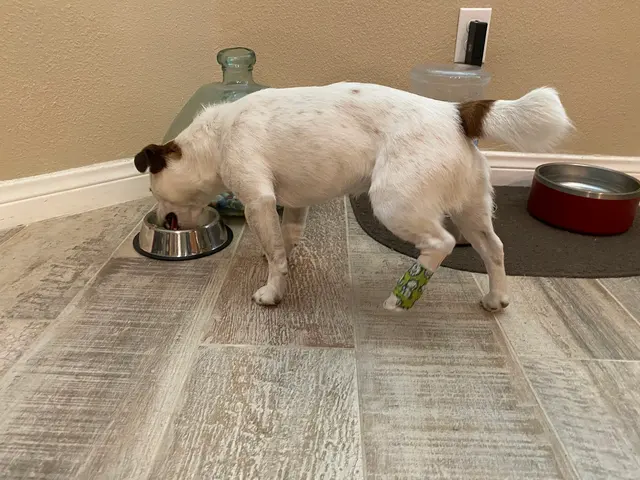 Thurman Veterinary Center — customer photo 6