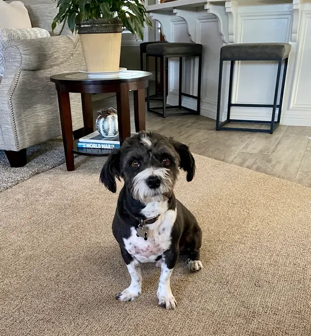 Thurman Veterinary Center — customer photo 8