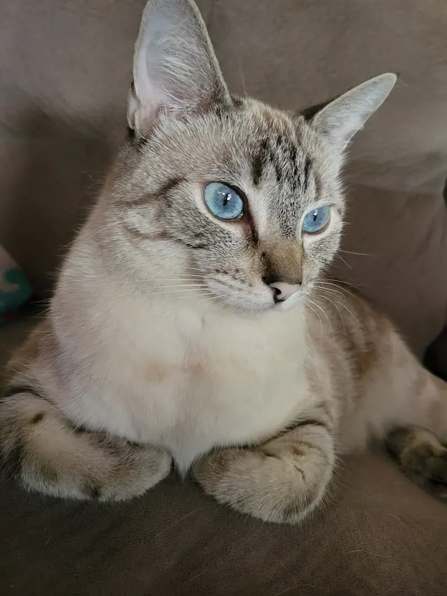 Critters Without Litters — customer photo 10