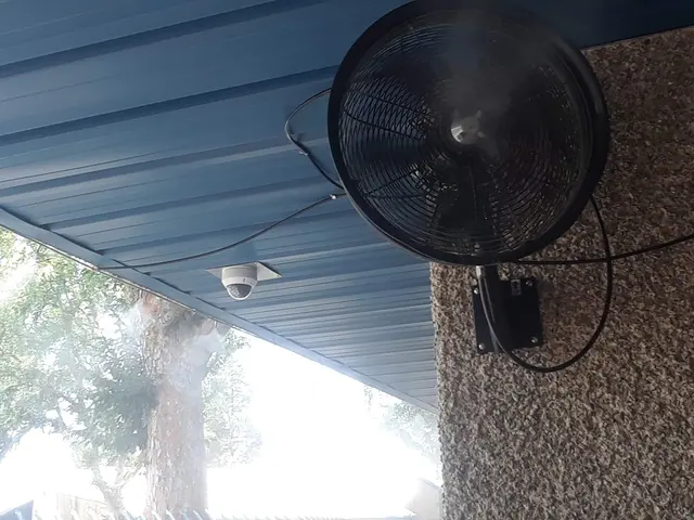 Critters Without Litters — customer photo 5