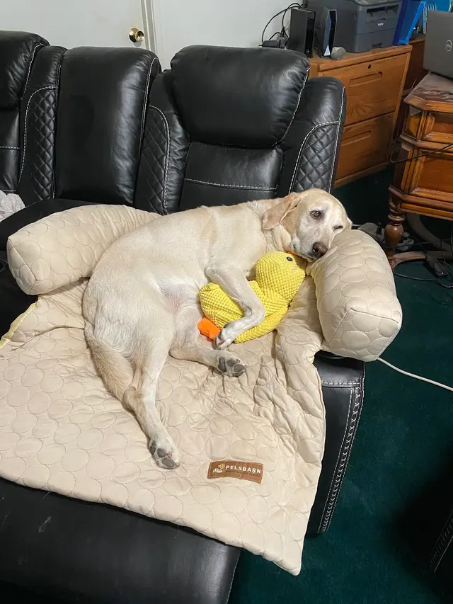 Stockdale Veterinary Hospital — customer photo 8