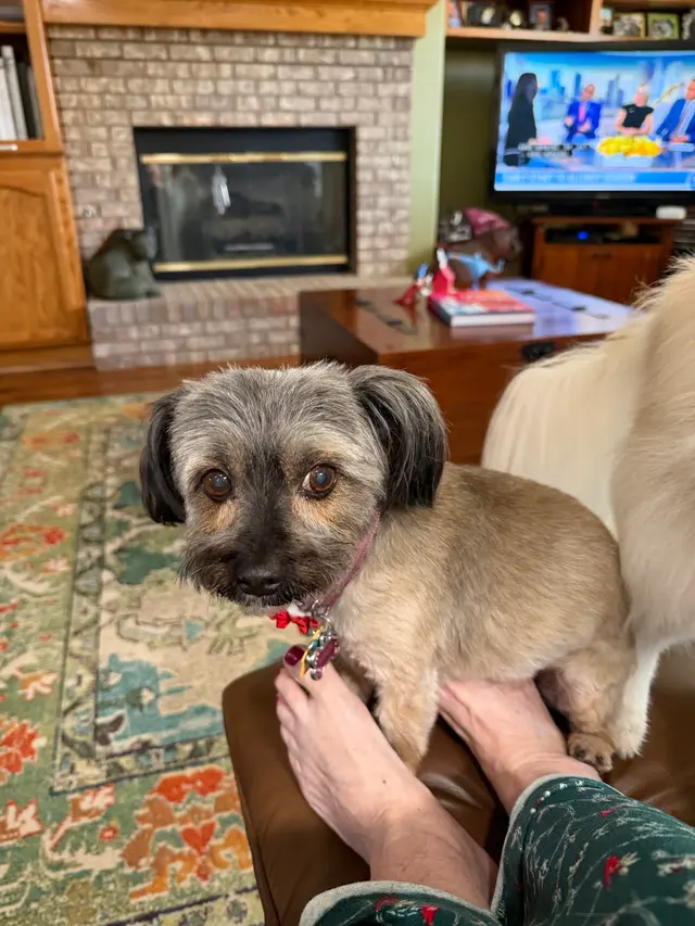 Stockdale Veterinary Hospital — customer photo 7