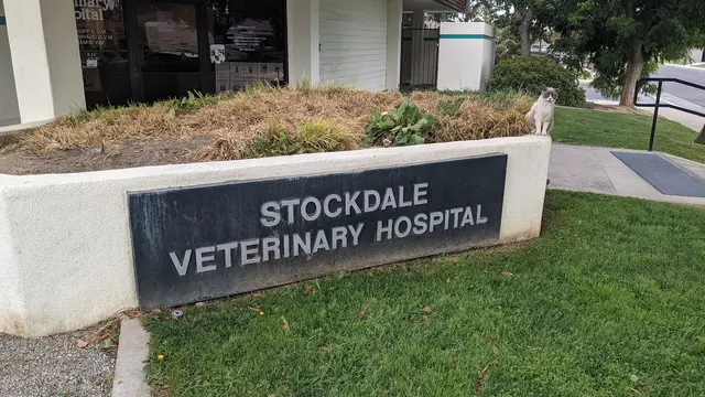 Stockdale Veterinary Hospital — customer photo 5