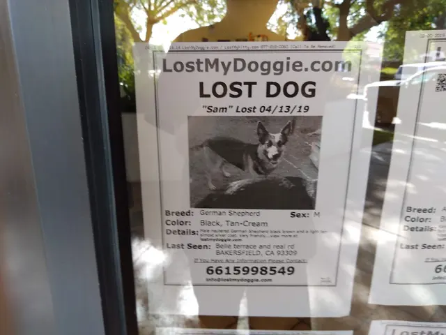 Stockdale Veterinary Hospital — customer photo 4