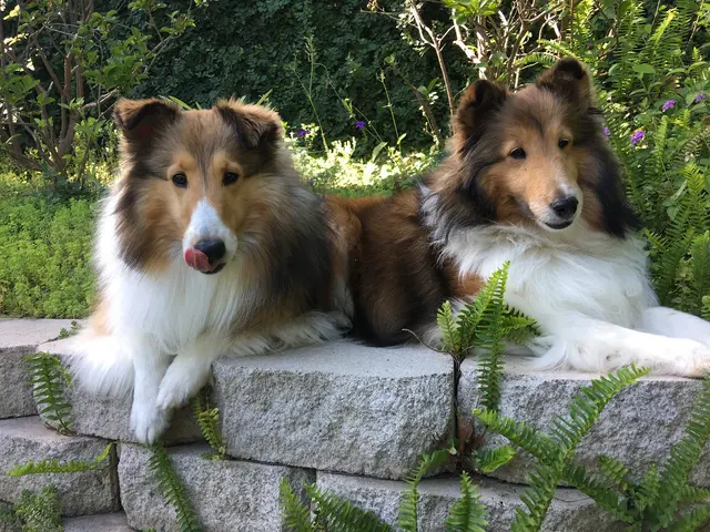 Stockdale Veterinary Hospital — customer photo 6