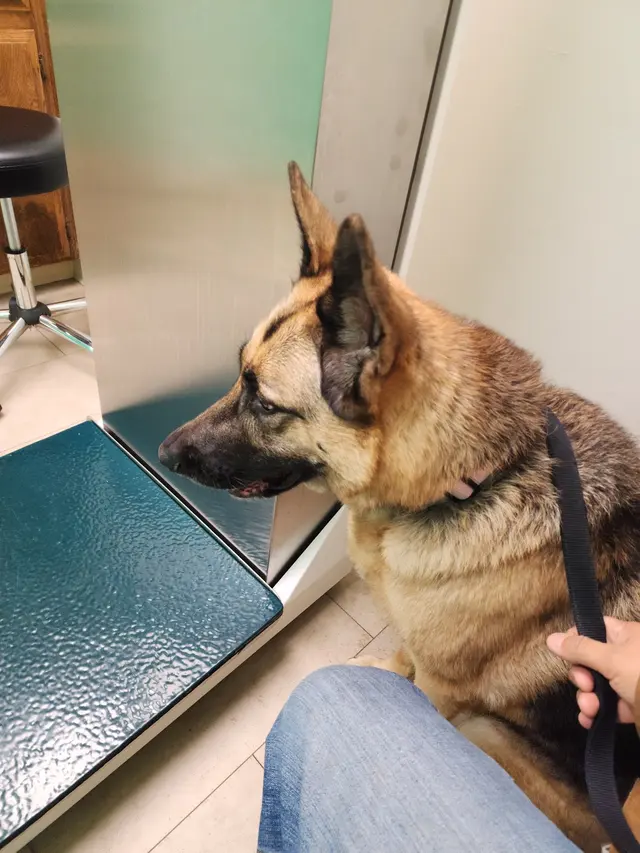 Stockdale Veterinary Hospital — customer photo 3