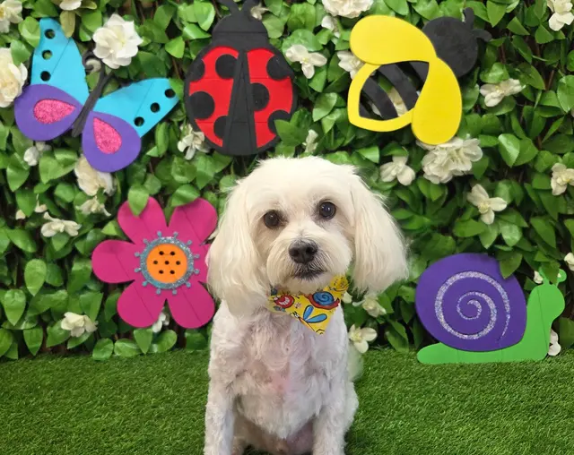 Stockdale Veterinary Hospital — customer photo 1