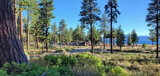 Nevada Asset Preservation & Management — customer photo 6