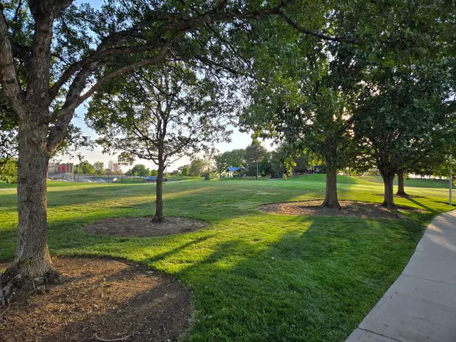 Thornton Community Center — customer photo 12