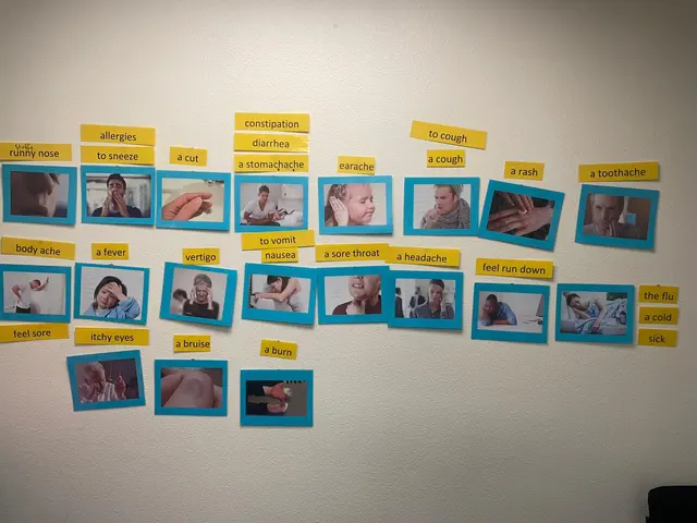Language Education Institute — customer photo 4