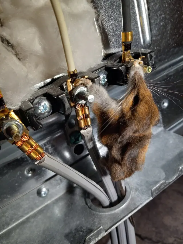 Papa Joe's Appliance Repair — photo from the business 9