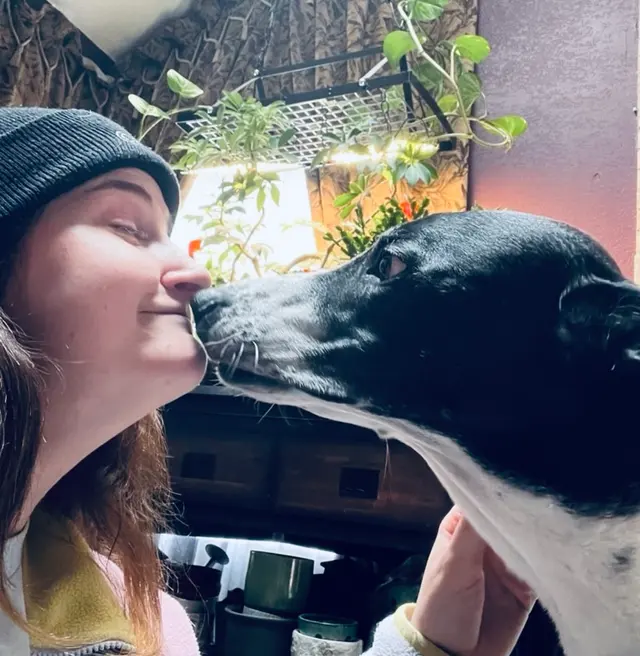 PlayTime Pet Sitters & Dog Walkers of Colorado Springs — photo from the business 7