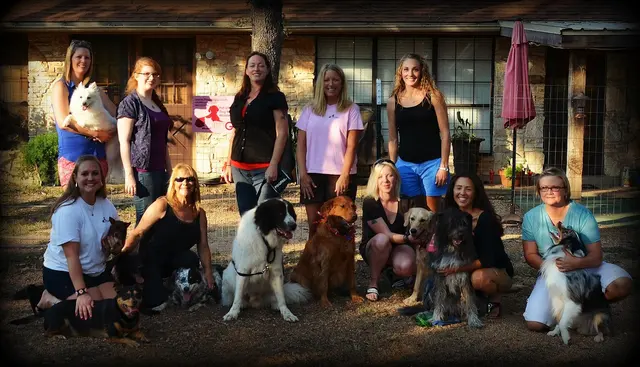 The Pet Gal Pet Sitters & Dog Walkers — photo from the business 4