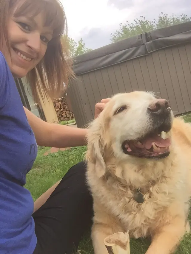 PlayTime Pet Sitters & Dog Walkers of Colorado Springs — photo from the business 10