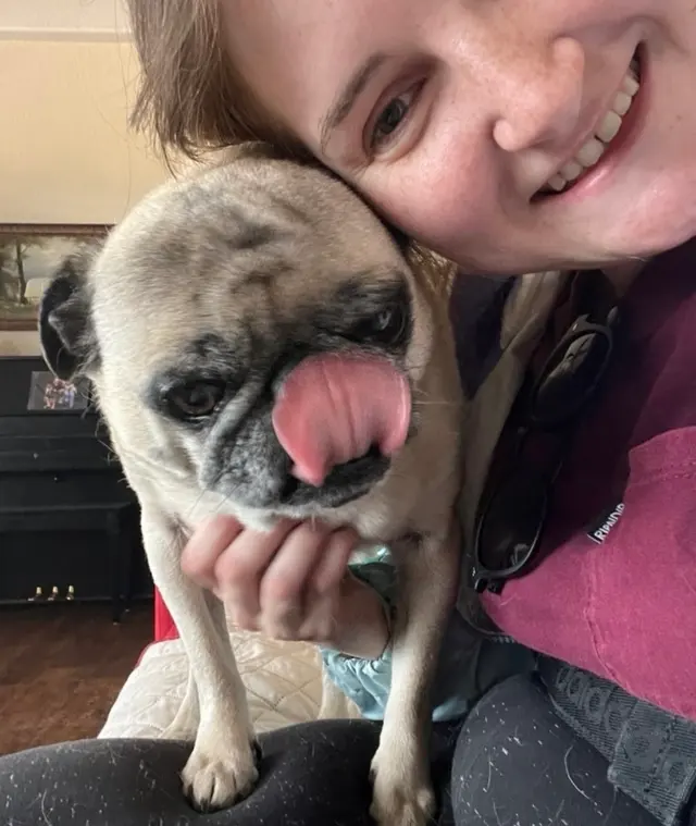PlayTime Pet Sitters & Dog Walkers of Colorado Springs — photo from the business 11
