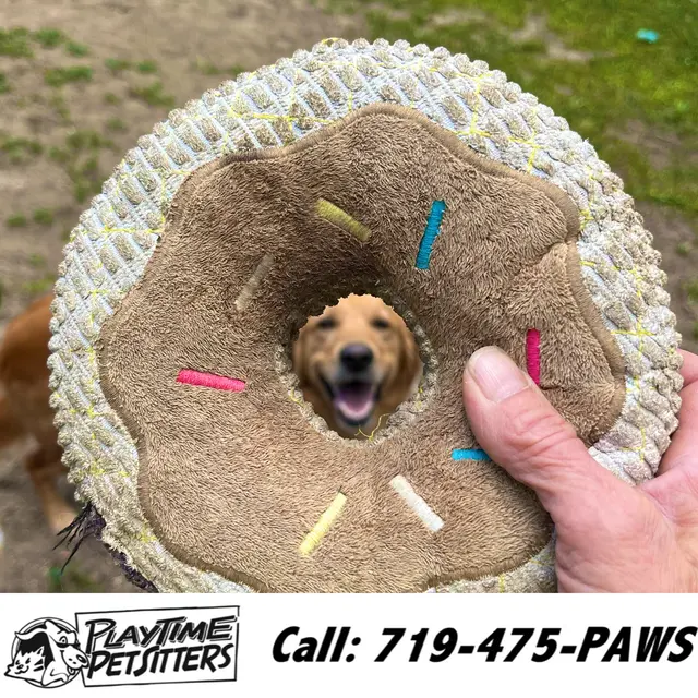 PlayTime Pet Sitters & Dog Walkers of Colorado Springs — photo from the business 9
