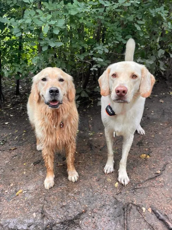 Trails & Tails Dog Adventures — customer photo 8
