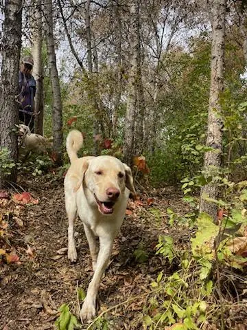 Trails & Tails Dog Adventures — customer photo 11