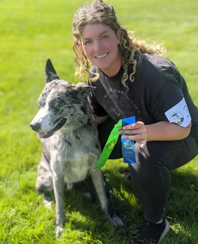 Tamed Canine Dog Training — photo from the business 9