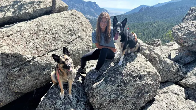 Tamed Canine Dog Training — photo from the business 7