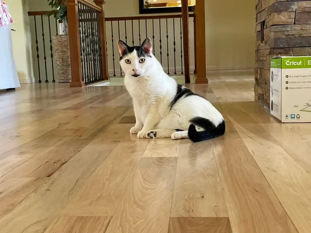 Woof and Meow Pet Sitting, LLC — customer photo 3
