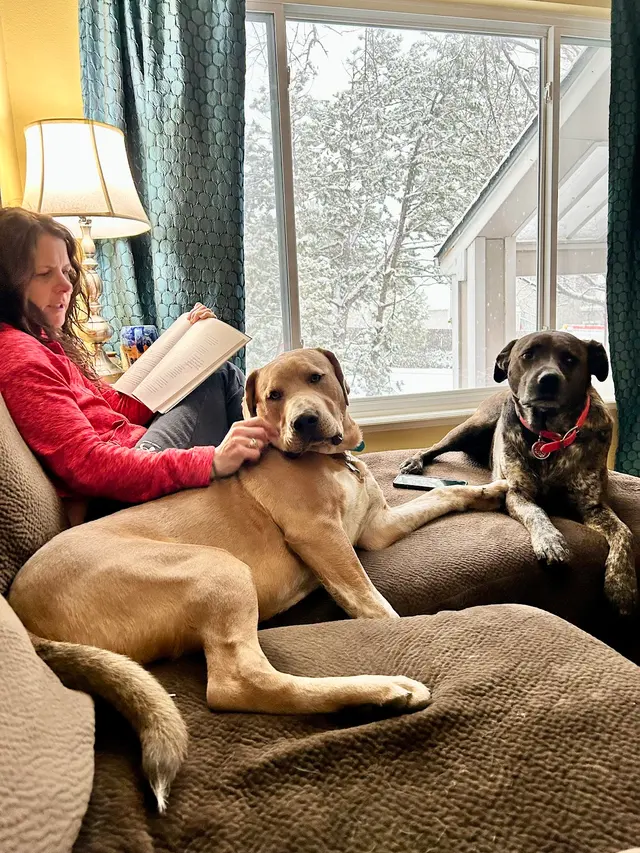 Sunrise Kennels — customer photo 10