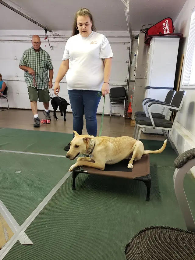 Sunrise Kennels — customer photo 12