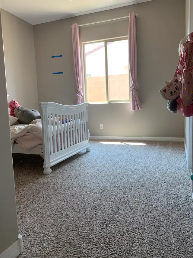 Sunrise Kennels — customer photo 4