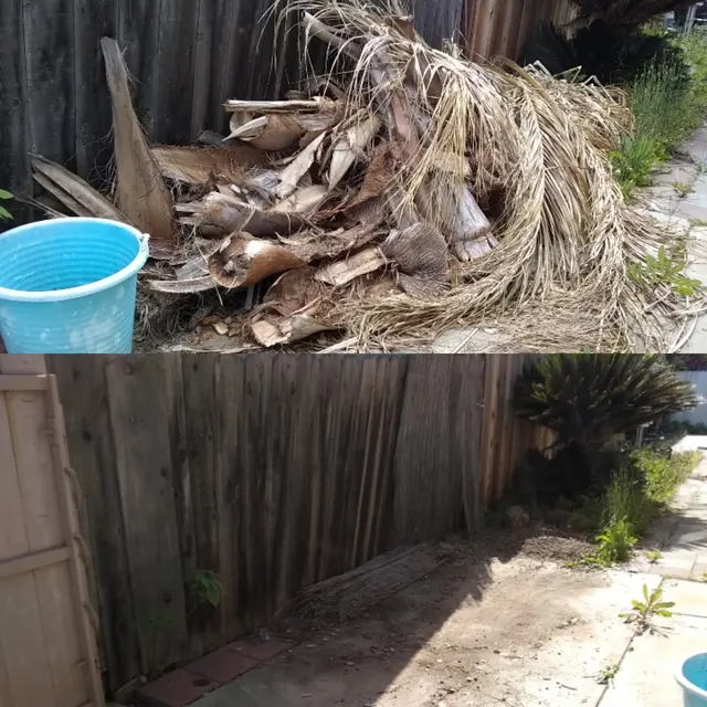 The Valley Junk Removal — photo from the business 10