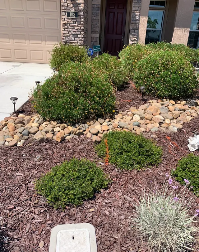 Superior Landscaping — photo from the business 5