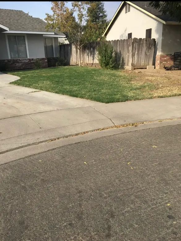 Israel's Yard Clean Up & Gardening — customer photo 2