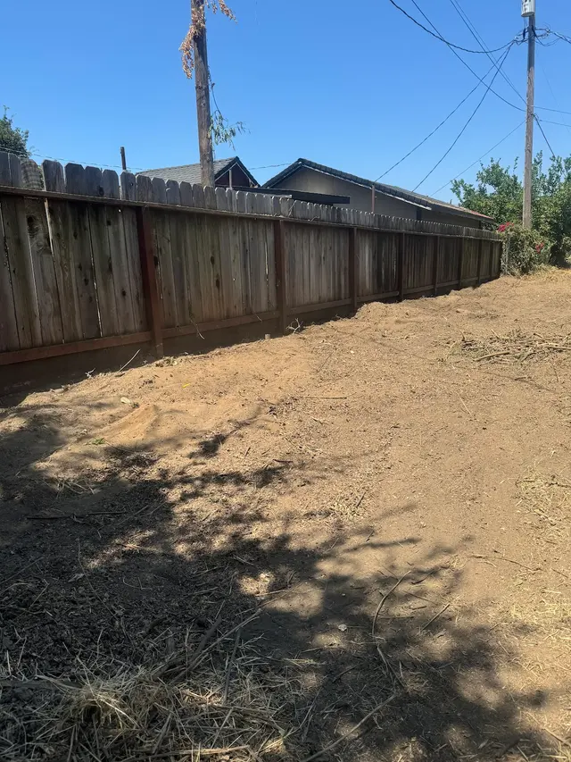 Israel's Yard Clean Up & Gardening — customer photo 8